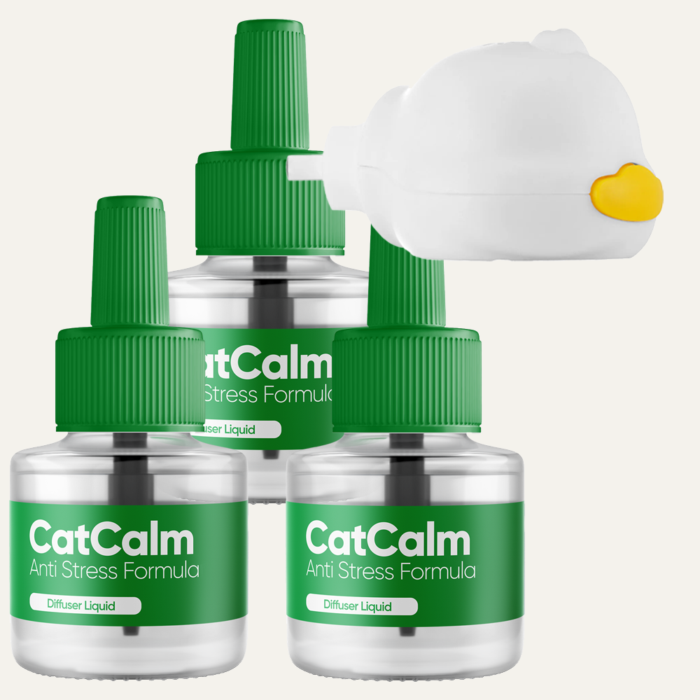 Anti Stress Bundle